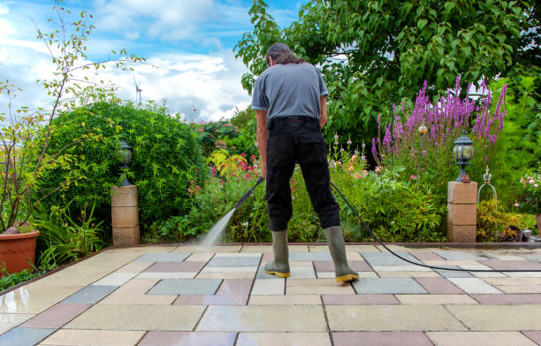 Animal Enclosure Cleaning in Deans, NJ
